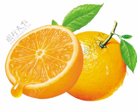 橙子双脆