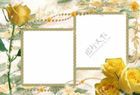 黄色玫瑰花照片相框