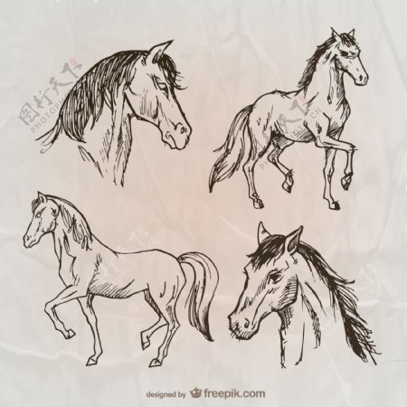 4款手绘骏马设计矢量素材
