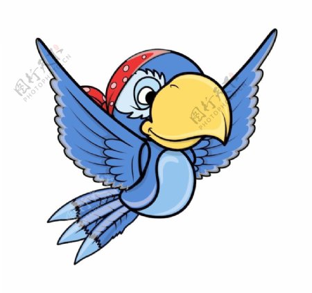 海盗蓝鹦鹉卡通插画矢量
