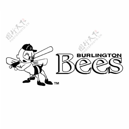 布灵顿蜜蜂0