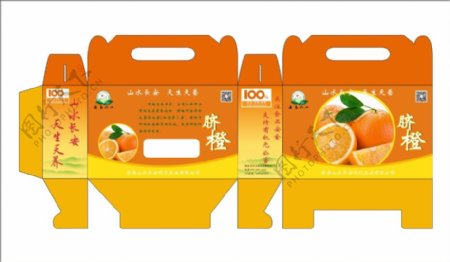 橙子包装礼盒设计