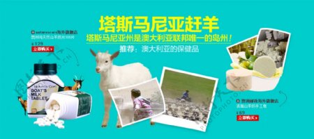 塔斯马尼亚赶羊淘宝促销海报psd源文件