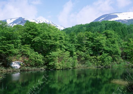 雪山下的绿树湖泊