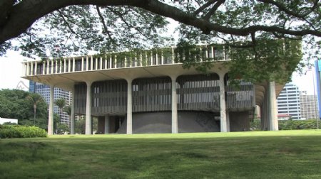 火奴鲁鲁夏威夷州议会大厦的树枝在股票的录像视频免费下载