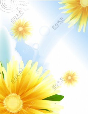玻璃移门装饰图片花朵向日葵