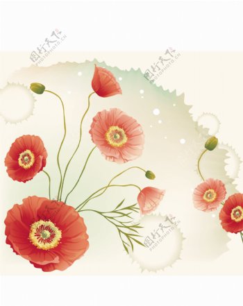 红色菊花移门图片
