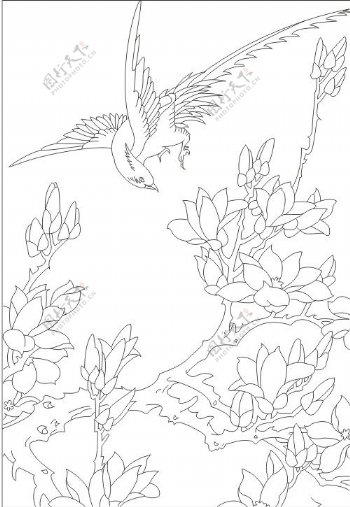传统线描花鸟画稿矢量素材