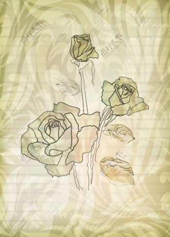 图案背景矢量素材05优雅的玫瑰