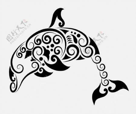 海豚黑白花纹矢量图
