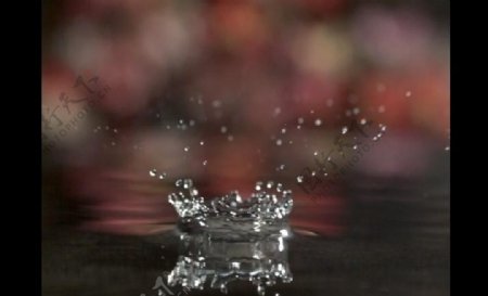 水花水滴视频图片