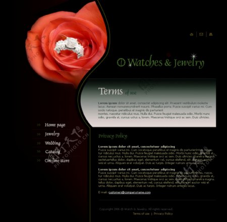 精美的欧美珠宝网页设计模板四图片
