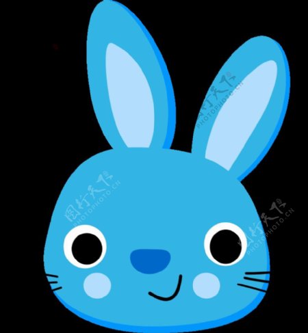 蓝兔子兔子蓝