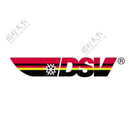 DSVDeutscherSkiverbandlogo设计欣赏DSVDeutscherSkiverband体育比赛标志下载标志设计欣赏