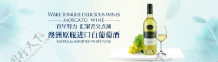 白葡萄酒海报设计