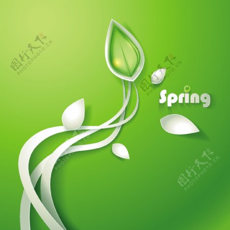 春天梦幻花纹绿叶图片