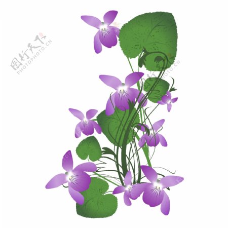矢量图植物写意花卉花朵蝴蝶兰免费素材