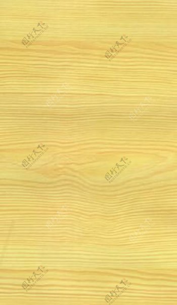 杉木5木纹木纹板材木质