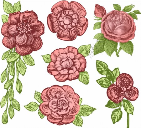 彩绘花卉设计图片