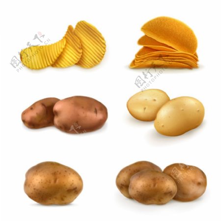 土豆与薯片图标矢量素材