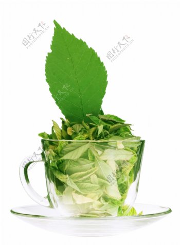 绿茶高清图片