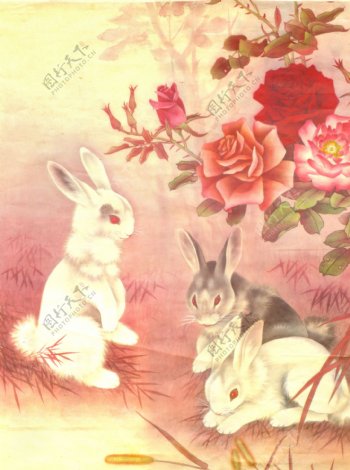 生肖兔国画24