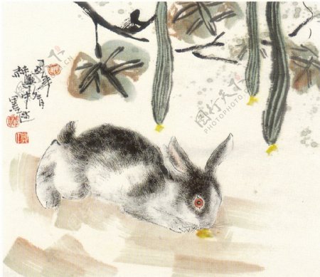 生肖兔国画20