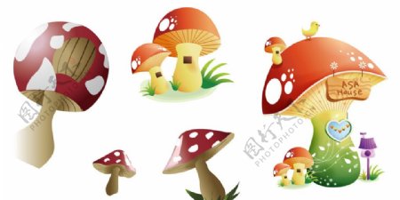 卡通蘑菇素材图片