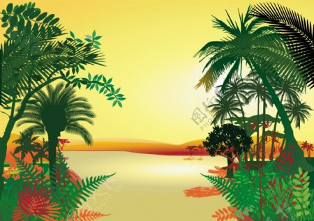 热带植物夕阳风景矢量图图片