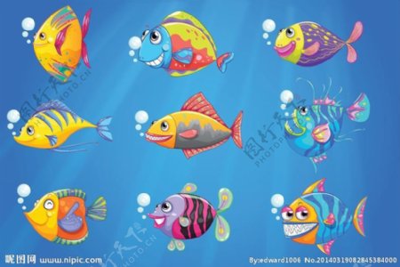 海洋生物海鱼图片