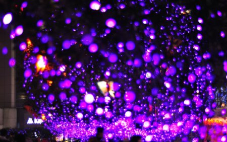 紫夜图片
