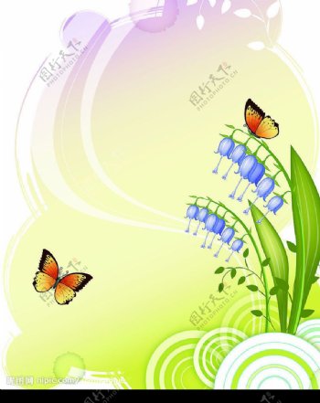 蝶与花四图片