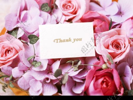情人节粉红玫瑰清纯花瓣贺卡感谢祝福图片