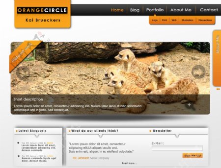 野生动物网站图片