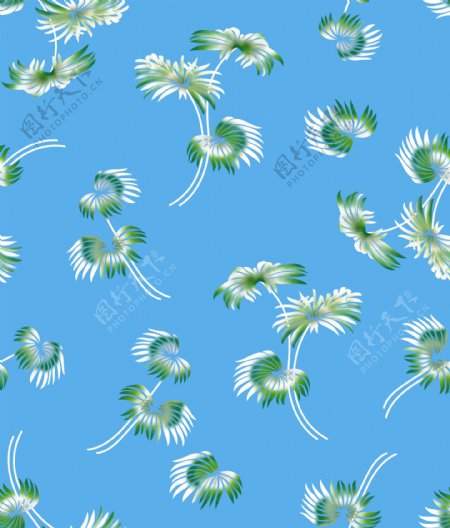 椰树花图片