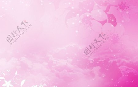 粉色花朵天空背景图片