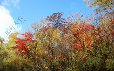 秋天的吉林图片