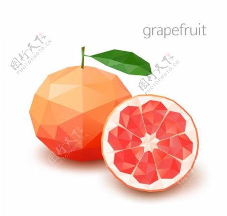 石榴水果设计图片