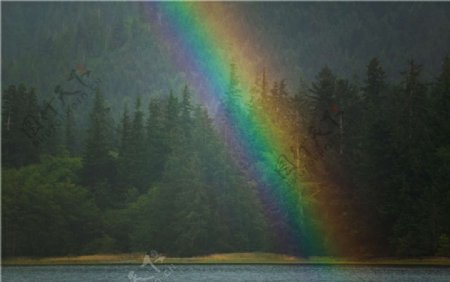 森林彩虹图片
