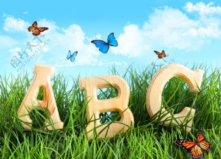 草丛中的ABC图片