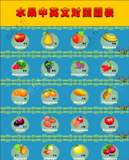 水果中英文对照表图片