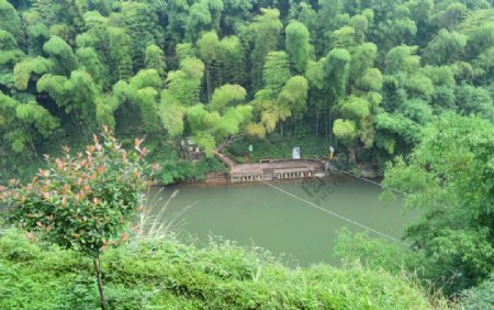 蜀南竹海溪水图片