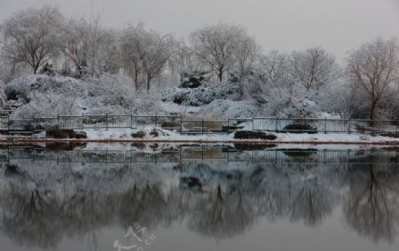 雪后的清水湖图片