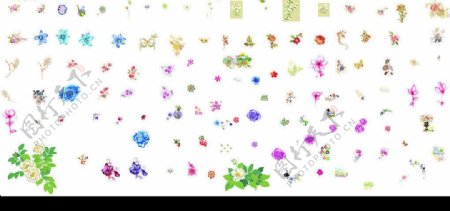 120种透明背景的植物图片