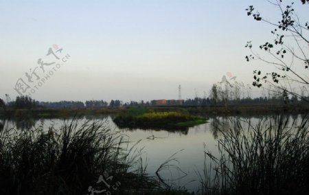 湿地美景图片