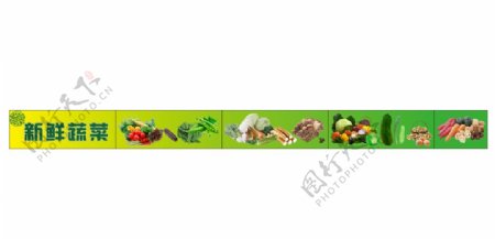 新鲜蔬菜排版写真喷绘图片