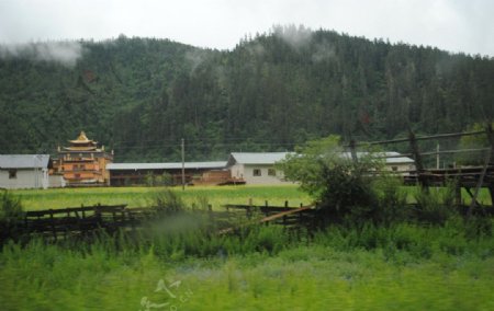 香雨季格里拉图片