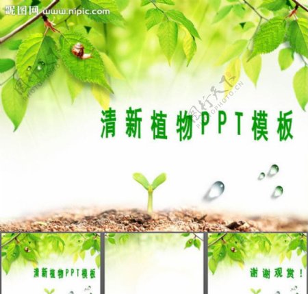 清新植物PPT模板