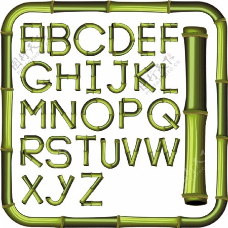 竹子字母图片