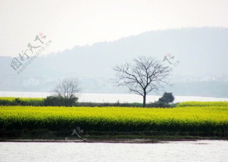 东屏湖图片